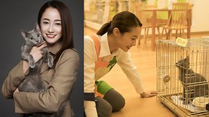 Erika Sawajiri Kembali Jadi Pemeran Utama Setelah 6 Tahun, Kali Ini Di Film Neko wa Daku Mono