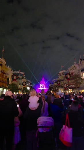 HAPPY NEW YEAR from Disney world xxx thank you all for a fab year, happy 2026 #newyear #disney #disneynewyear #wdw #travel | The Lodge Guys