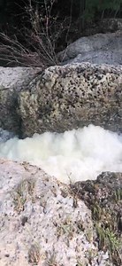 1.7K views · 46 reactions | Shut In Creek! | Concan, Texas | Facebook