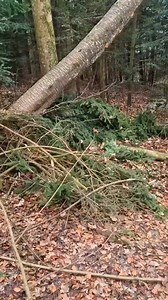 Widow maker | Robert Climber