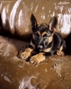 106K views · 821 reactions | A few weeks back, I came across a garage...