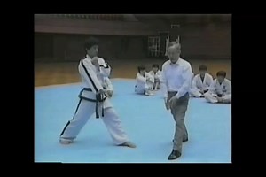2.4K views · 65 reactions | Eui Am step by step with Gen. Choi the founder of Taekwon-Do. All CHITF Australia members doing the grading in December view the video to get the finer points of the Tul as explained by Gen.Choi. | CHITF Australia | Facebook