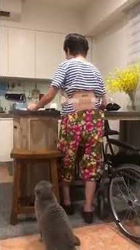 Cat Pulls Down Grandma's Pants While Scratching Her to Ask for Food - 1057178