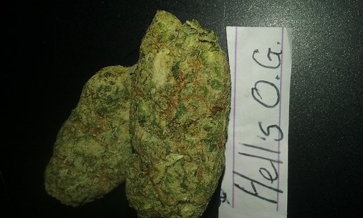 Hell'S Og | Marijuana Strain Reviews