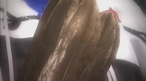 Native American Culture | Say Yes to the Dress - TLC | Facebook