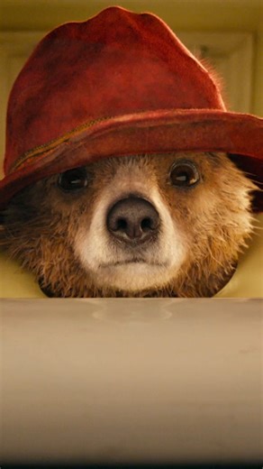 95K views · 6.4K reactions | Not quite the January adventure Paddington had hoped for... | Paddington Bear | Facebook