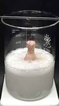 Vaporizing chicken in acid