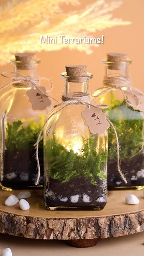 Bring the beauty of nature to your home with this mini terrarium! 🌱🌿 | Blossom