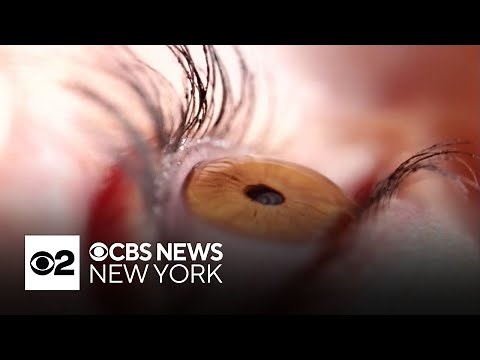 Potential new eye drug shows promise in restoring vision