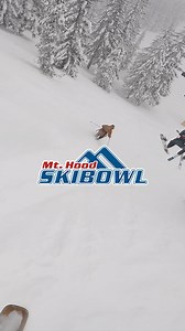 7.3K views · 18 reactions | Mt. Hood Skibowl on Reels | Facebook