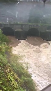 Please be careful Typhoon is approaching Japan Heavy rain in Shizuoka | Japan Tomo