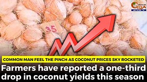 23K views · 122 reactions | Common man feel the pinch as coconut Prices sky rocketed. Farmers have reported a one-third drop in coconut yields this season #Goa #GoaNews #CoconutPrices #hiked | In Goa 24x7 | Facebook