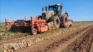 37K views · 25 reactions | Onion Harvesting Machine | tractorweb.tv | Facebook
