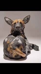 12K views · 182 reactions | Painted dog sculptures now available @beaux_arts_bath. Just like dogs themselves, all my ceramic sculptures are unique with their own personality. These beautiful animals are my favourites to sculpt. #painteddog #wilddog #safari #doglovers #dogportrait #animalsculpture #sculpture #wildlifelovers #animallovers #nickmackman | Nick Mackman Animal Sculpture | Facebook
