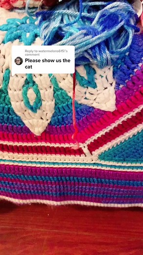 Reply to @watermelons615 Chonky Cat. Her name is Irony. Mostly I call her kitty. #catsoftiktok #crochet