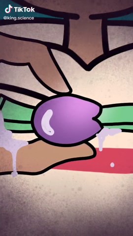 King Science (@king.science)’s videos with Money In The Grave - Drake