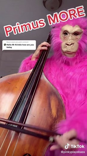 Reply to @djent_boi_josh #primus MORE #bass #uprightbass #doublebass #duetwithme #mrkinkle #gorilla #lesclaypool #basssolo @lesclaypoolofficial