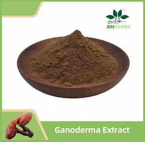 [Hot Item] Pure Ganoderma Lucidum Extract Capsules for Immune Support