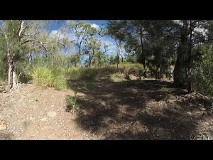 Ecological Indicators