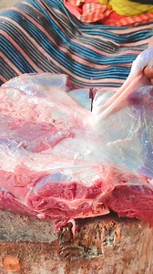 Precious brisket cutting #reels #fbreels #meatlovers #beef #beefbrisket | Social Outlet