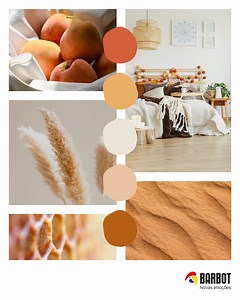 10K views · 16 reactions | Os 5 sentidos dos tons terra. | Barbot | Facebook