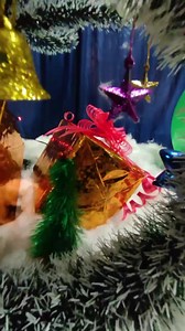 Christmas Celebrations @ Office #FastInfo #MySweetOffice | Rajesh Kewat