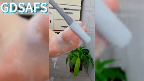 Amazon.com : Toe Gap Cleaning Brush, Toe Gap Cleaning Brush Long Handle, Foot Brush for Shower, Skin Exfoliation Lotion Applicator for Foot Seniors, Women and Men (2pcs-b) : Beauty & Personal Care