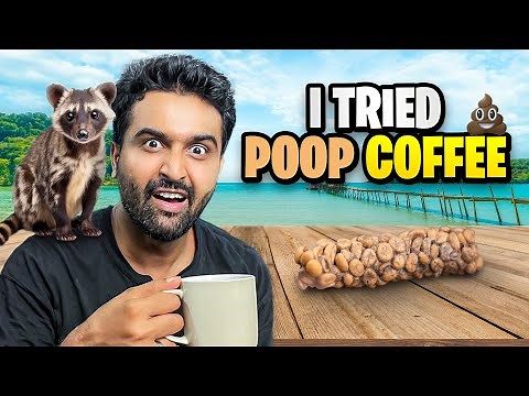 Expensive Coffee Made From Animal Poop | Bali