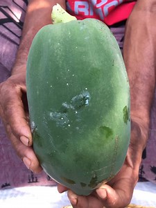 47K views · 1.4K reactions | Let's make a raw tapioca curry Delicious papaya curry | Raw papaya curry | Asian food | Facebook