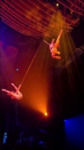 use one word to describe them!! #Mystere | Cirque du Soleil