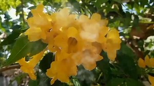 30K views · 618 reactions | Magandang Gabi Sa Inyong Lahat 﫰 Tutulongan Kita / Roel Cortez - Idol Reynan Music Cover ( Lyrics Video ) #viralvideoシ #lovesong #musiclover #idolreynanmusic #highlightseveryone #foryoupageシforyou #lyrics #oldies | Idol reynan music | Facebook