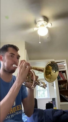 5 note C# Major scale #trumpet #cornet