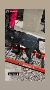 Ray Allen Manufacturing on Reels