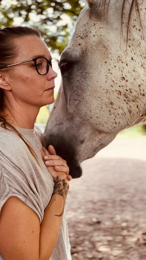 5K views · 12K reactions | Le cheval n’est pas un guérisseur, parce...