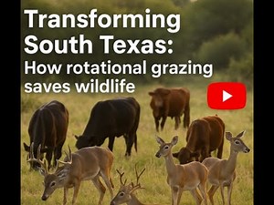 Transforming South Texas: How Rotational Grazing Saves Wildlife & Land