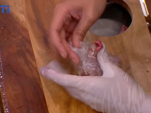 4.8K views · 51K reactions | Demo masak Opor ayam chef Renata 藍 astaga ribetnya  ( MasterChef indonesia season 7 ) #viral #trending #masterchefindonesia #fyp | Aci Putra | Facebook