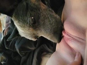 Alone with daddy's dog