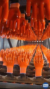 This is how rubber gloves are made in the technological era. #ChinaStory | China Daily