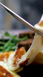 Download grilled cheese halloumi fried cheese on plate delicious expensive food Learn to cut and serve grilled Halloumi cheese with care for a better dining experience for free