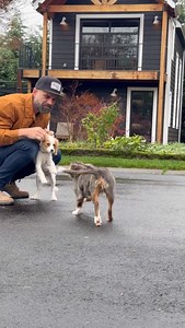 112K views · 2.3K reactions | #Ford_Ambassador Seems like it’s always...