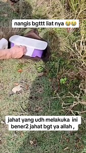 ya allah ya rob nangis bgt liat nya 😭😭😭🤧 | Bang Sar