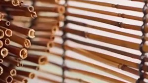 Outdoor Reed Blinds, Roller Blinds, Privacy Curtains, Sun Protection and Waterproof, Easy to Install, Suitable for Indoor and Outdoor porches-primarycolorwhiteline-62x87in（WxH