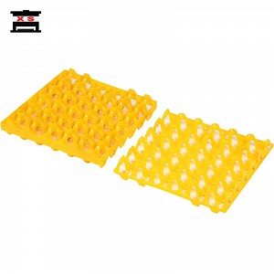 [Hot Item] Plastic Egg Packing Box Egg Transportation Rack Poultry Farm Egg Containing Tray Injection Mould