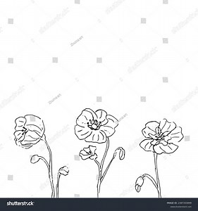 Poppy Flower Outline Border On White Stock Vector (Royalty Free) 2387335899 | Shutterstock