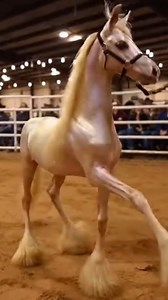 453K views · 8.9K reactions | Premium Showcase Series — Structured...