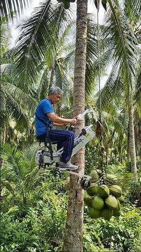 Coconut Tree Climber Machine in Action 🌴 (Insane Farming Innovation!) #Shorts