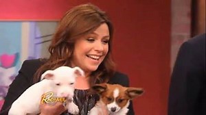 We kind of think every day should be #NationalPuppyDay! We wanna see the puppies you're celebrating today -- post your pics below 🐶 | Rachael Ray Show