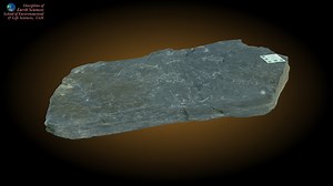 Phyllite - 3D model by Earth Sciences, University of Newcastle (@Landy42)