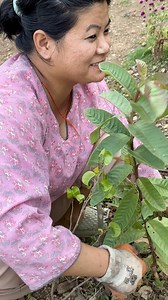 113K views · 2.3K reactions | Ghar Ko Vlog || Mero Wife Sanga❤️ #hillboyvlogs #sali #viral #trending #villagelife #villagevlog #wife | Hill Boy Vlogs | Facebook