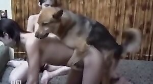 video-khieu-dam-dong-vat-mien-phi-ve-hanh-vi-tinh-duc-hoang-da.html